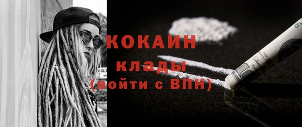 сатива Россошь