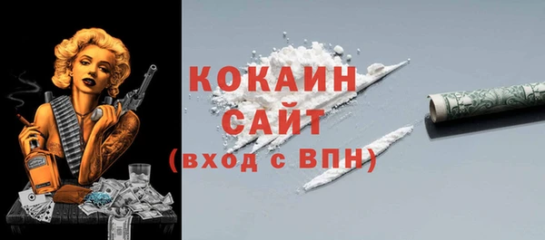 сатива Россошь